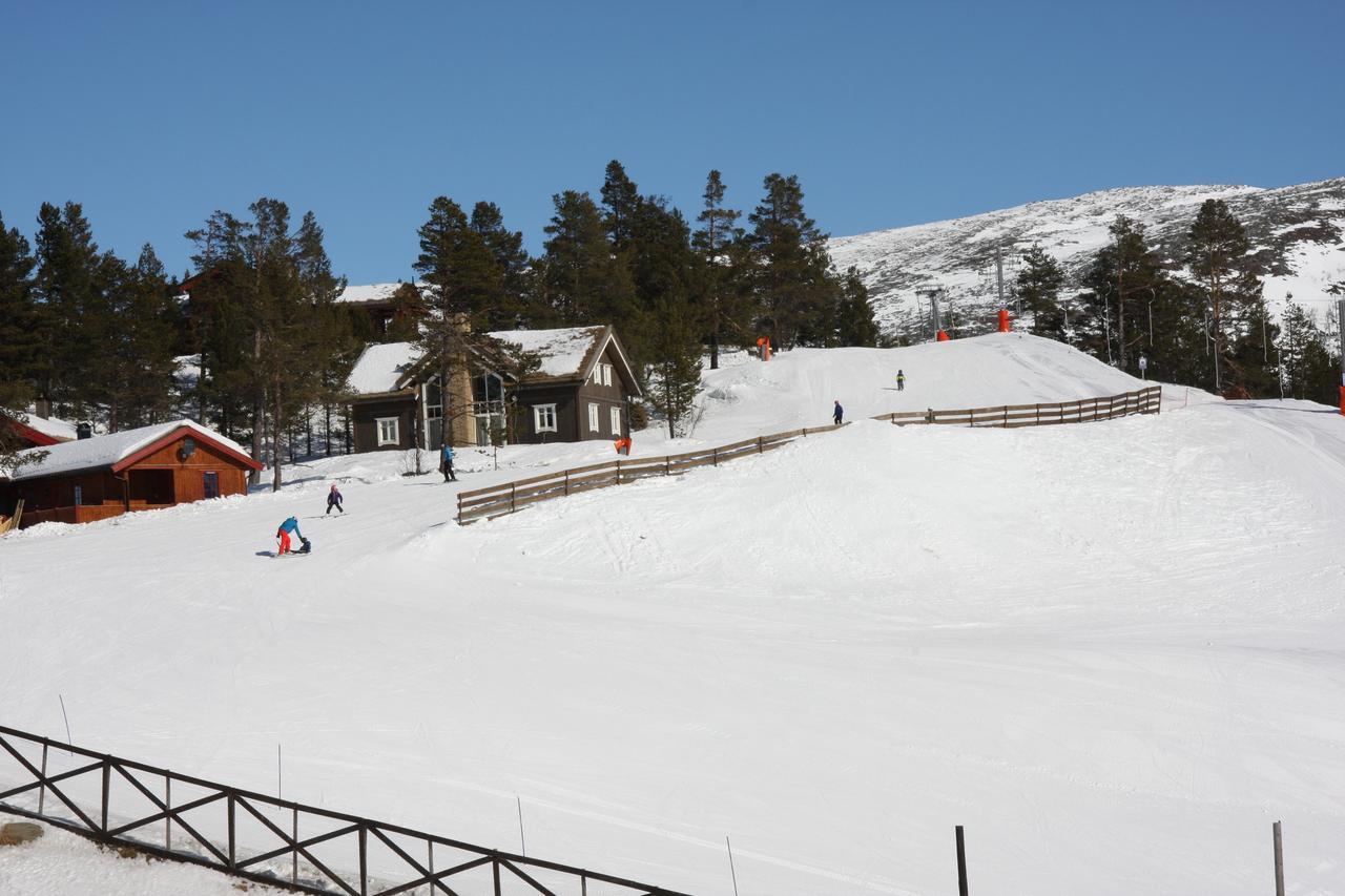 Lemonsjo Fjellstue Og Hyttegrend Randsverk Exteriör bild