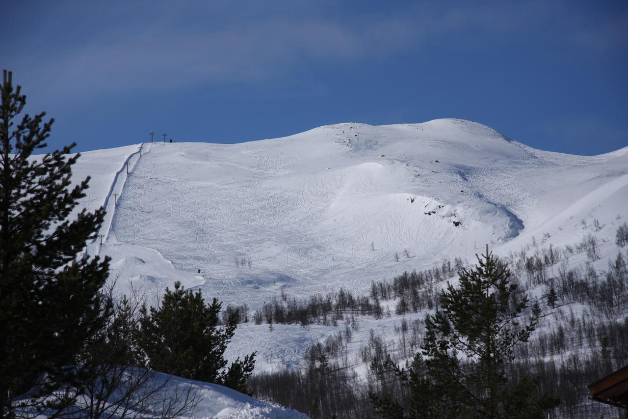 Lemonsjo Fjellstue Og Hyttegrend Randsverk Exteriör bild