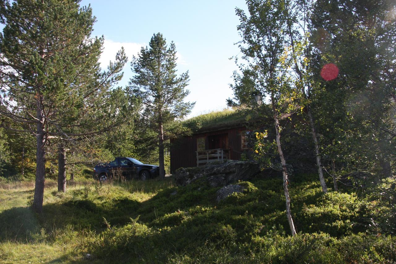 Lemonsjo Fjellstue Og Hyttegrend Randsverk Exteriör bild